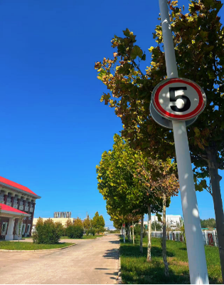 2025051023 海螺新材的秋日畫(huà)卷(1)(1)159