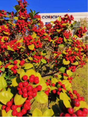 2025051023 海螺新材的秋日畫(huà)卷(1)(1)173