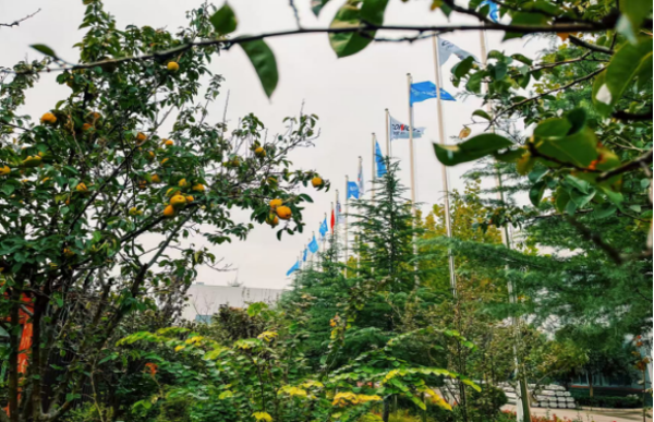 2025051023 海螺新材的秋日畫(huà)卷(1)(1)186