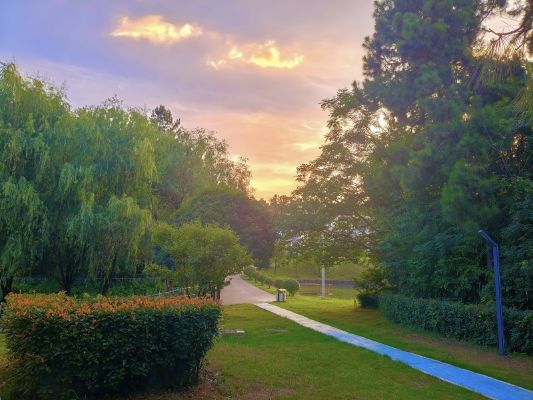 宣城海螺王明，油畫_副本